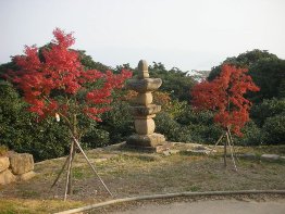 Autumn colours at temple