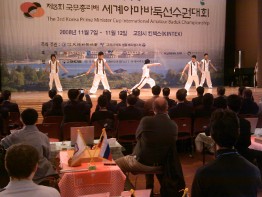Tae Kwon Do demonstration