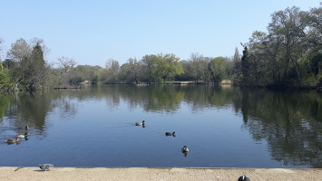 Highams Park Lake