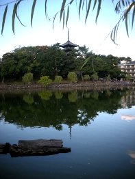 Pagoda at Nara
