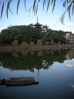 Pagoda at Nara