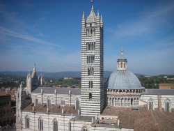 Siena cathedral