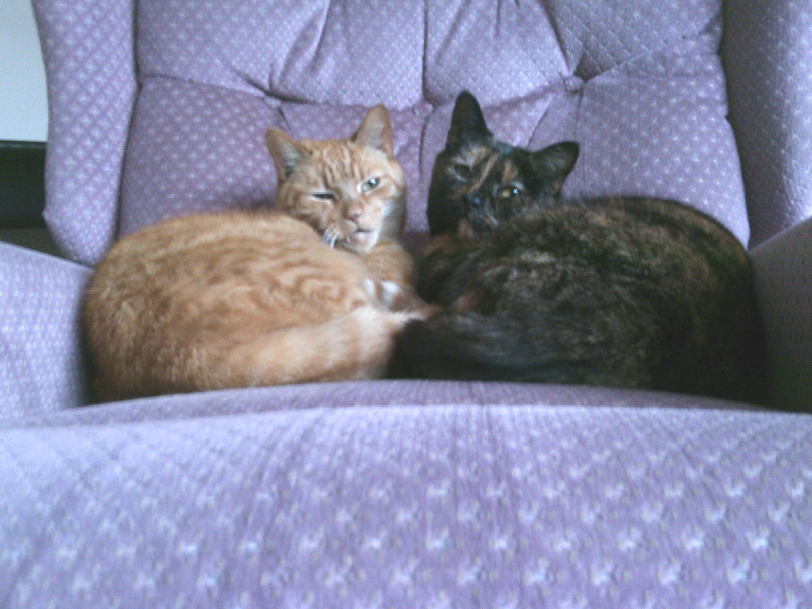 Edward and Amy
