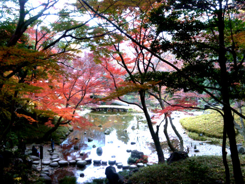 Japanese garden